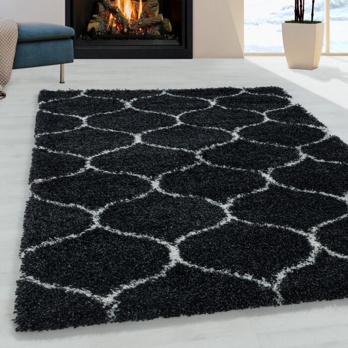 Salsa Shaggy teppich hochflor rechteckig 160x230cm anthrazit