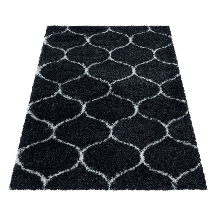 Salsa Shaggy teppich hochflor rechteckig 160x230cm anthrazit