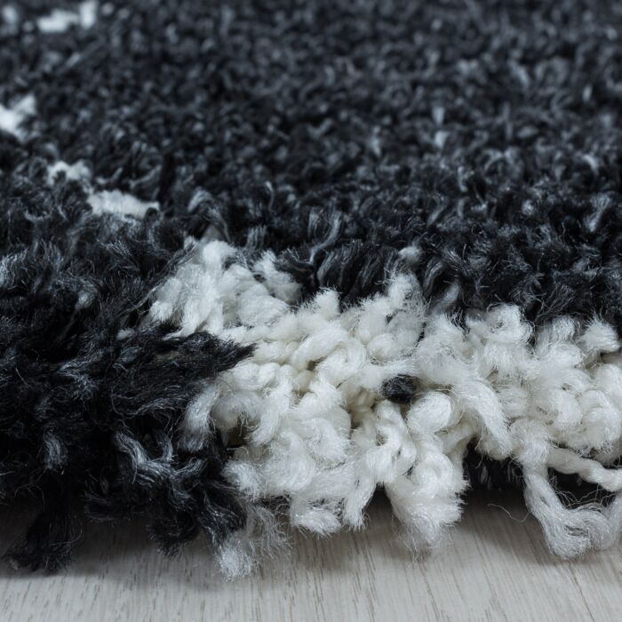 Salsa Shaggy teppich hochflor rechteckig 160x230cm anthrazit