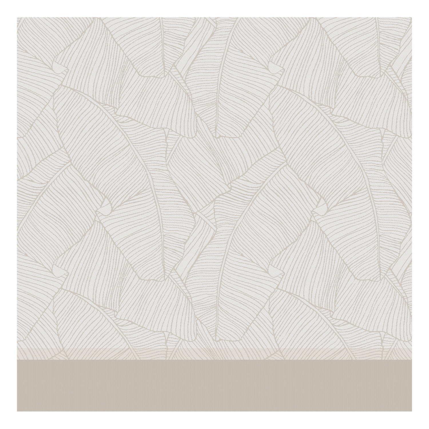DDDDD Barrier geschirrtuch 60x65cm wollweiß (6 stück)